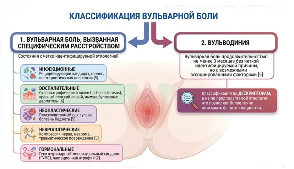 Консенсусная классификация вульварной боли 2015 г.