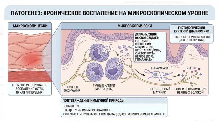Консенсусная классификация вульварной боли 2015 г.