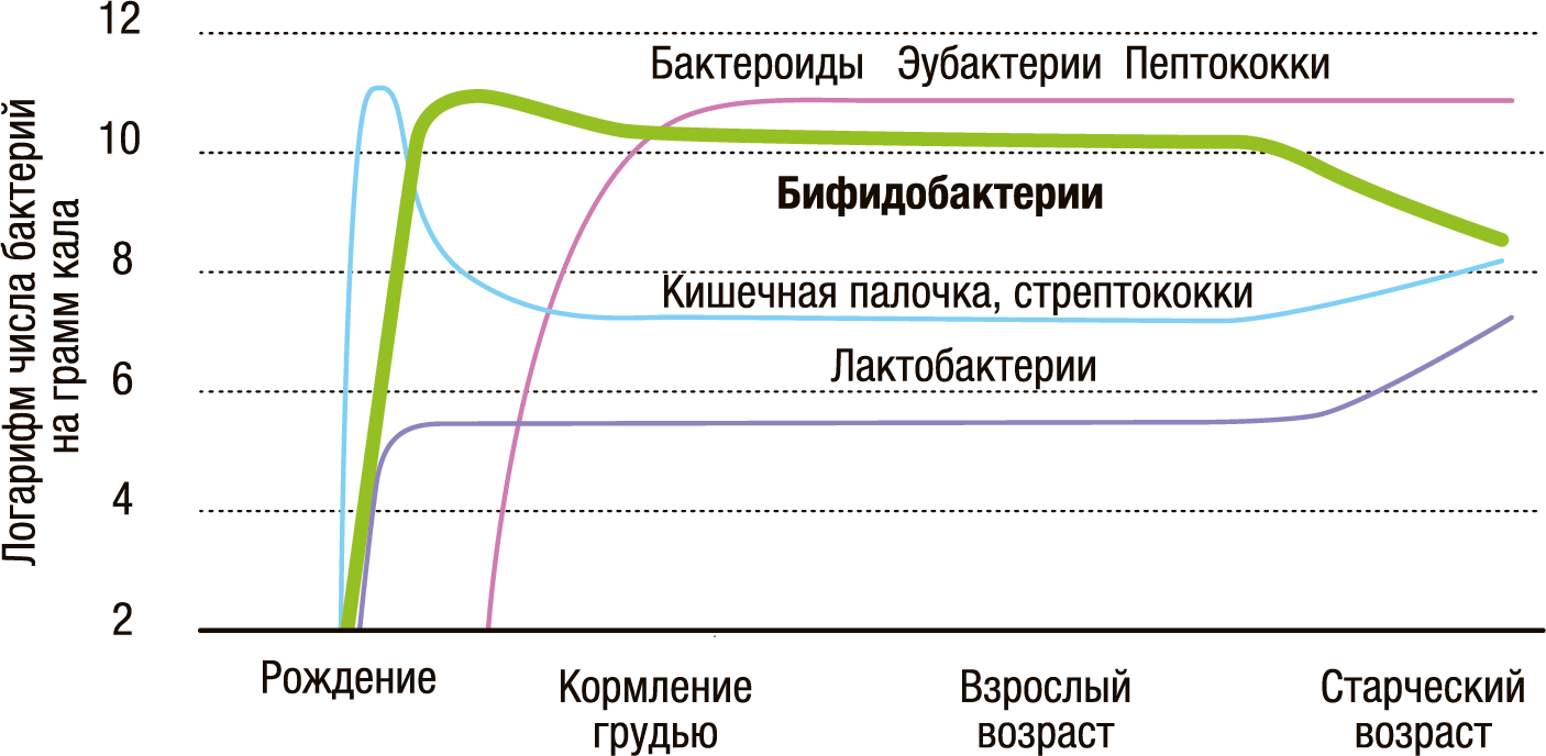 пробиотики для беременных какие можно