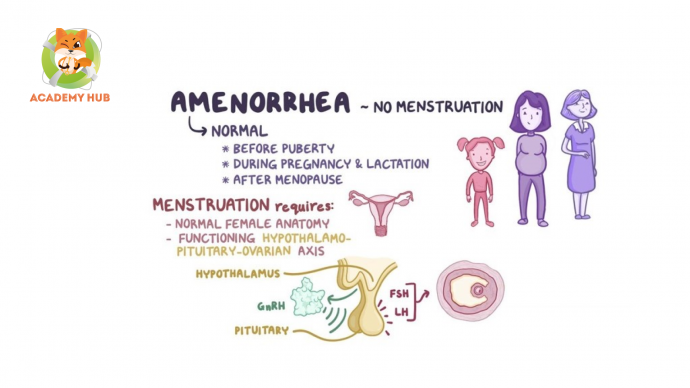 Влияние аменореи, связанной с потерей веса, на здоровье женщин. Часть 1.