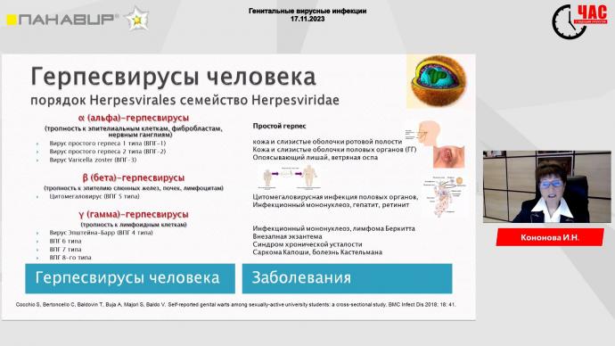 Кононова И.Н. - Генитальные вирусные инфекции