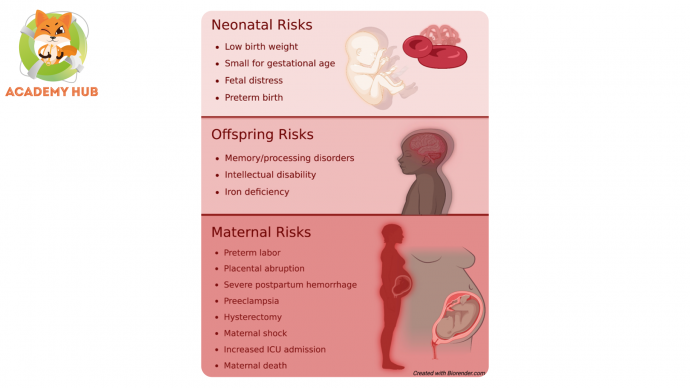 Скрининг на железодефицитную анемию беременных и лечение: международные клинические рекомендации