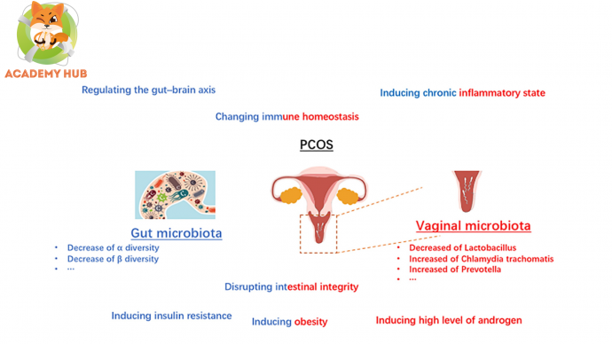 Изменение микробиома влагалища при применении оральных контрацептивов  у женщин с СПКЯ