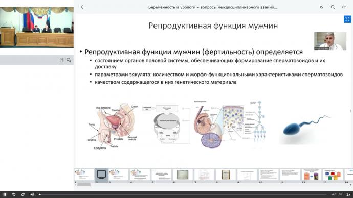 Корнеев И.А. - Прегравидарная подготовка, алгоритм диагностики мужского фактора бесплодия и стратегии достижения беременности