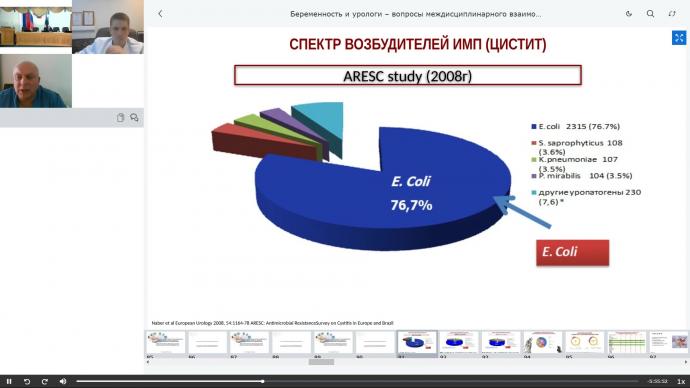 Кузьменко А.В. - Всегда ли нужны антибиотики при заболеваниях мочеполовой системы