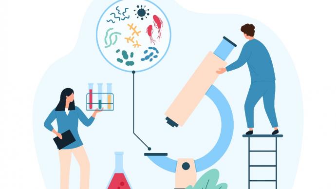 Ошибки в оценке лактобактерий: почему традиционные методы подводят гинекологов?