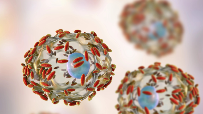 Роль иммунных маркеров и микробиоты в эффективности лечения бактериального вагиноза