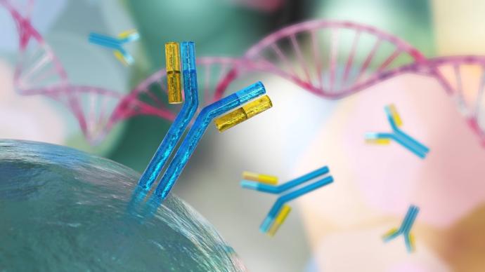 Новые мишени в лечении бактериального вагиноза