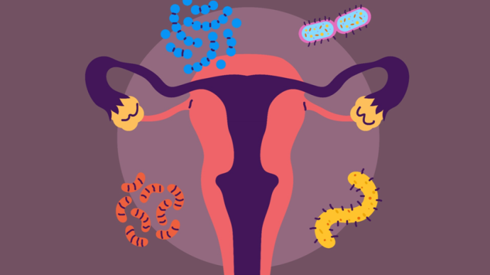 Как менопауза перестраивает вагинальный микробиом?