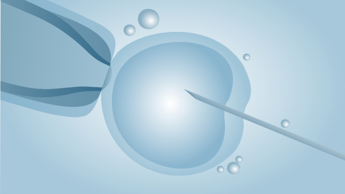 Микробиом эндометрия как ключевой фактор успеха ЭКО