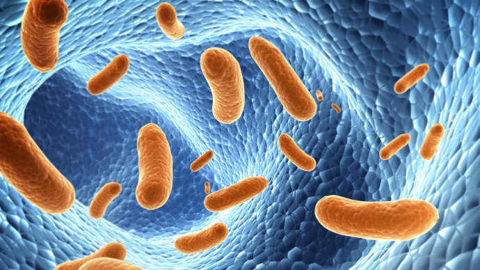 Новый патоген микрофлоры влагалища