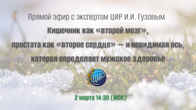 Прямой эфирс с экспертом ЦИР И.И. Гузовым: Кишечник как «второй мозг», простата как «второе сердце» — и невидимая ось, которая определяет мужское здоровье.  