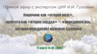 Прямой эфир с экспертом ЦИР Игорем Ивановичем Гузовым: Кишечник как «второй мозг», простата как «второе сердце» — и невидимая ось, которая определяет мужское здоровье
