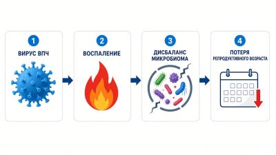Репродуктивный возраст под угрозой: влияние ВПЧ-инфекции