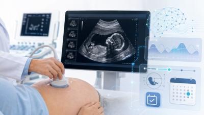 FDA разрешило ИИ для прогнозирования даты родов по УЗИ