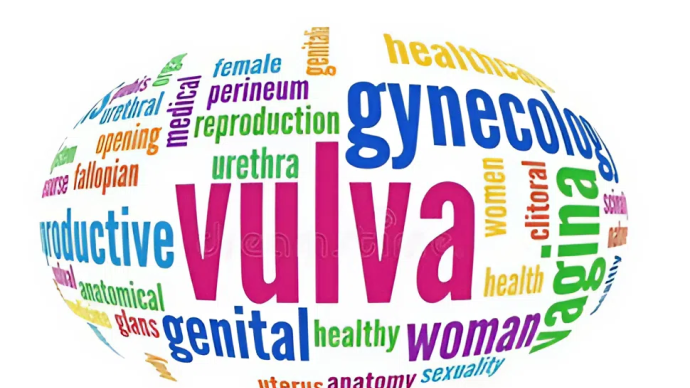 Жжение вульвы и вульводиния: взгляд 2025-2026