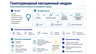 Генитоуринарный лактационный синдром: новая клиническая концепция в послеродовом наблюдении