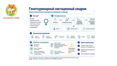 Генитоуринарный лактационный синдром: новая клиническая концепция в послеродовом наблюдении