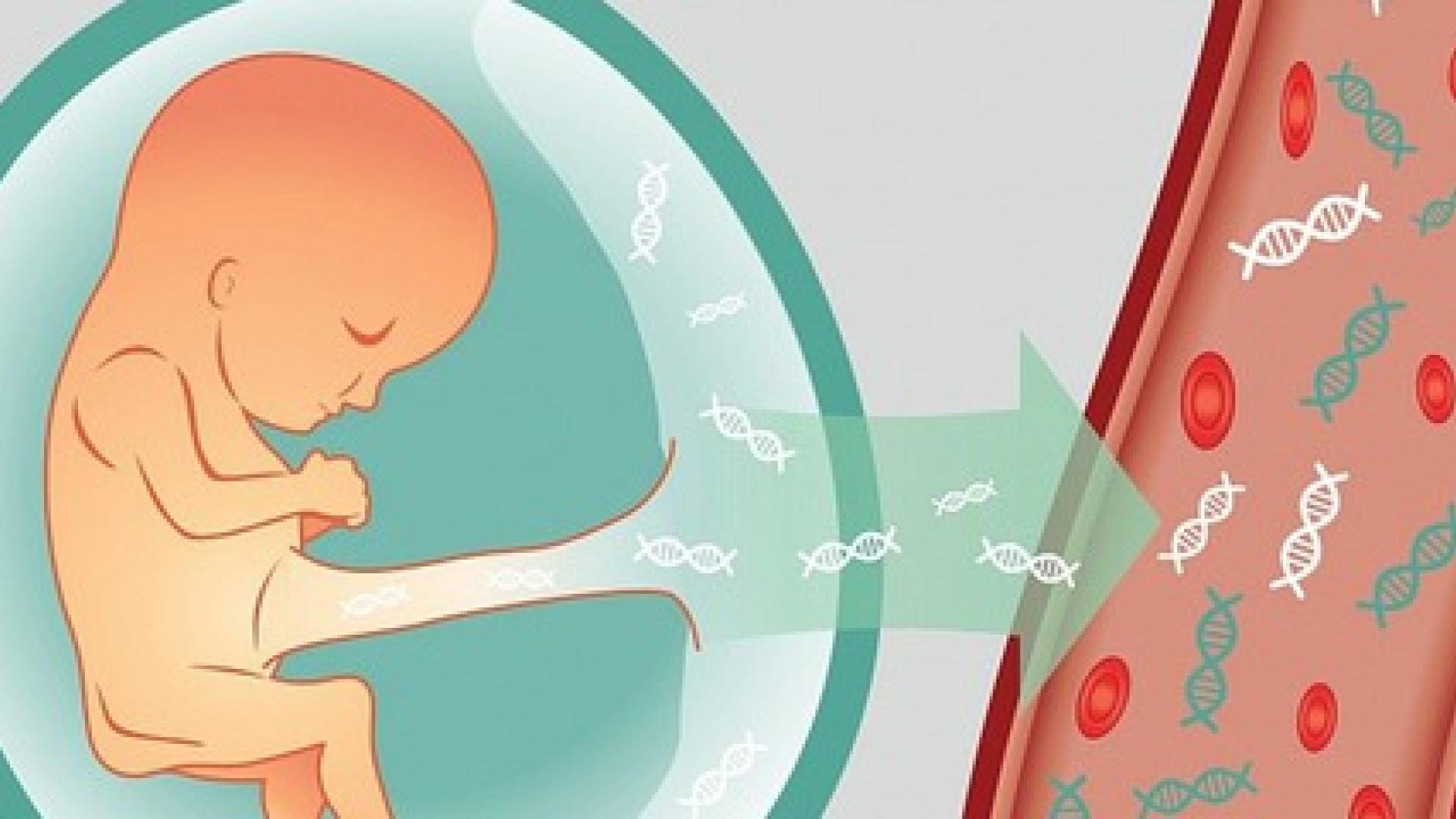 Тест днк беременным. Пренатальное генетическое тестирование. ДНК плода. Неинвазивное пренатальное исследование плода. Неинвазивные исследования беременных.